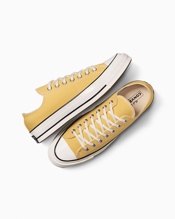 Chuck 70 Low Top Seasonal Swamp Core/Egret/Black