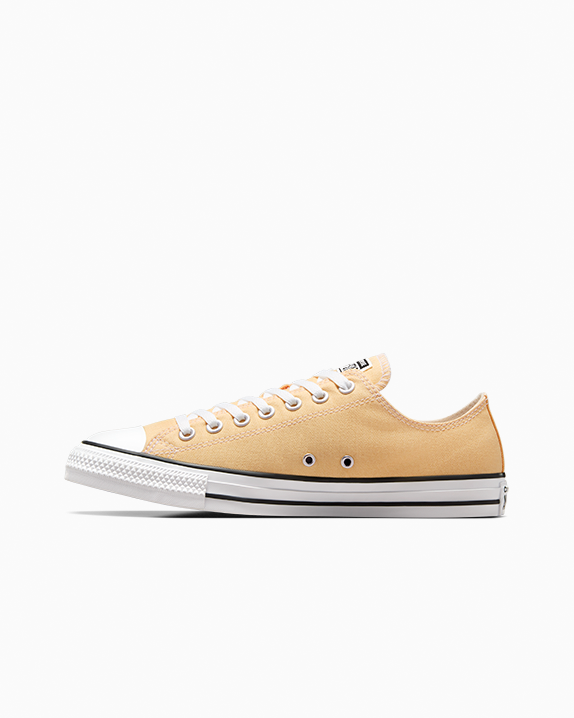 Chuck Taylor All Star Low Top Seasonal Cliffside Rose
